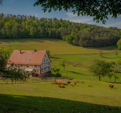 slide-grass-hut